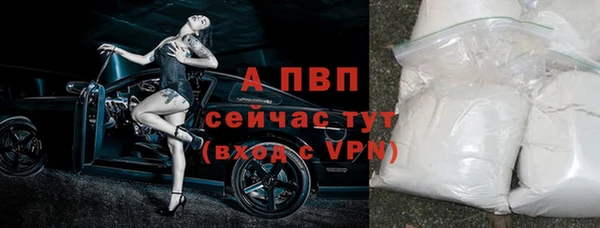 стафф Елизово