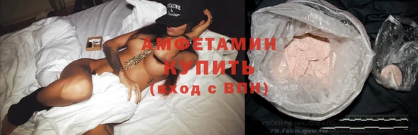 стафф Елизово