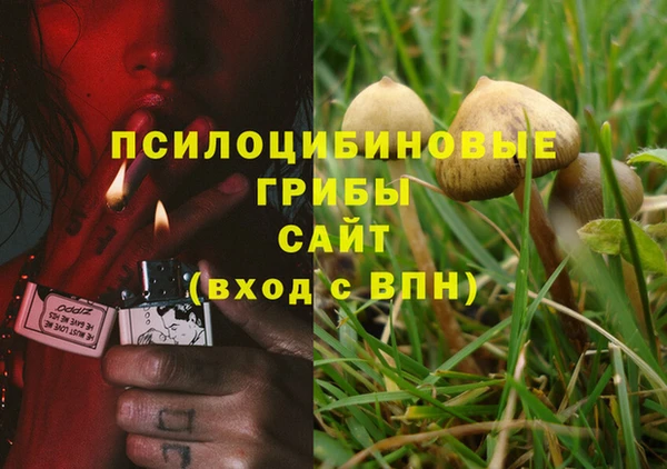 стафф Елизово