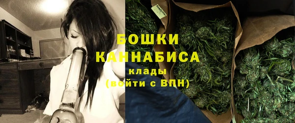 стафф Елизово