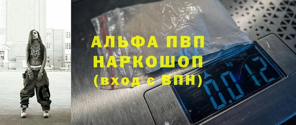 стафф Елизово