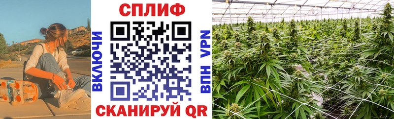 Купить где  Дивногорск  Канабис LSD WEED 